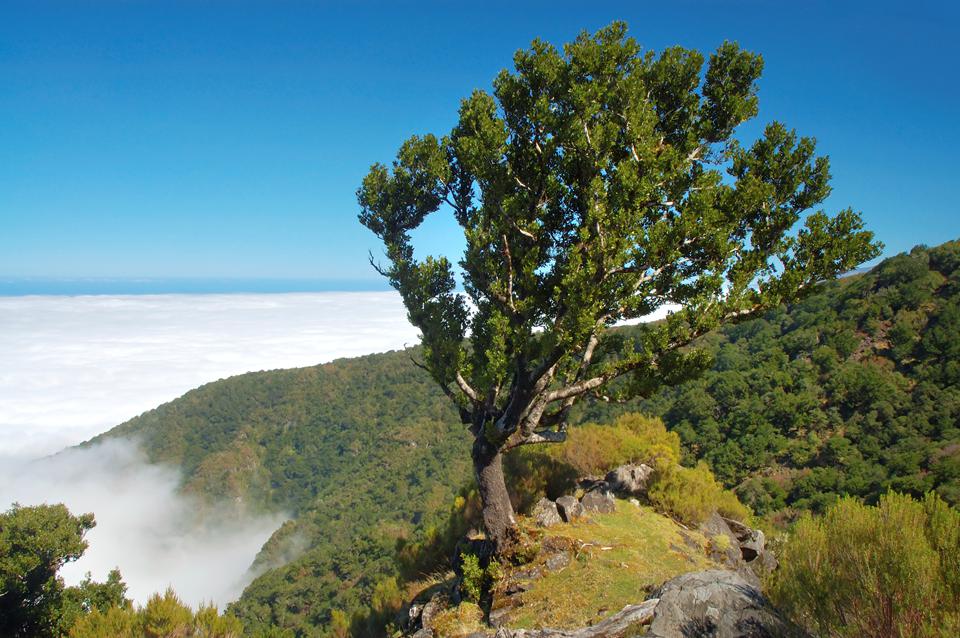 Calheta Foto: 4 van 4