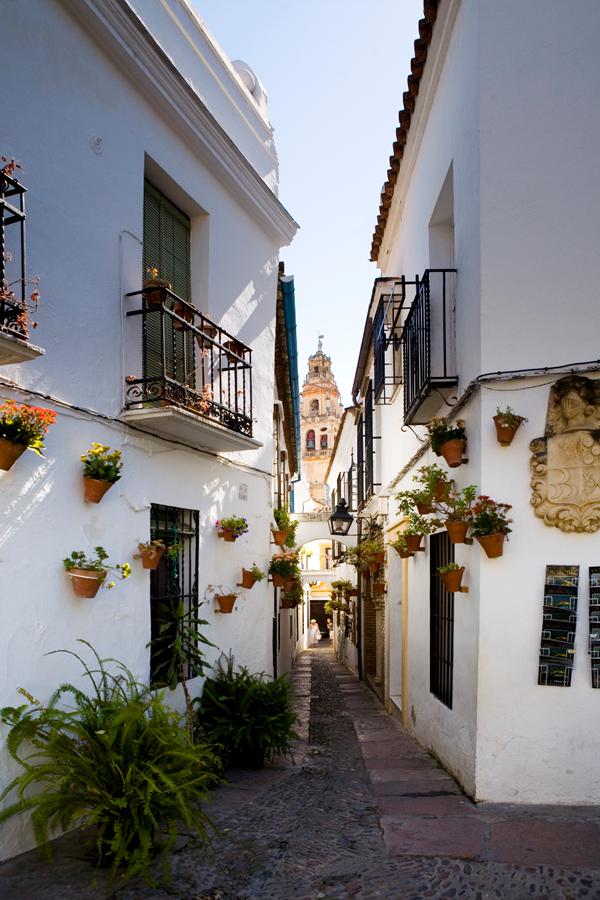 Photo de La Vinuela