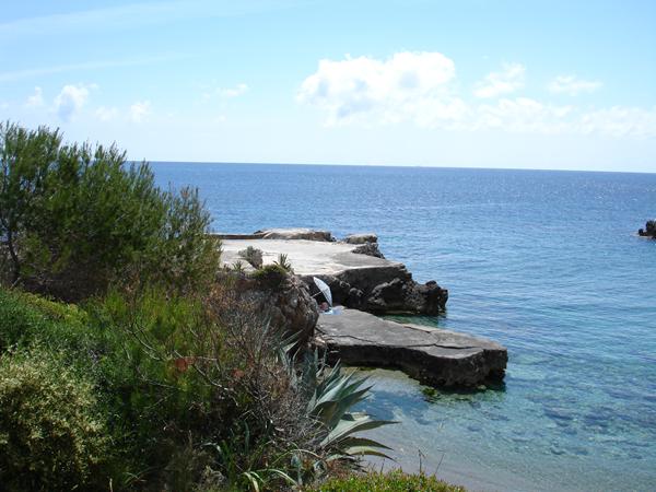 Photo de Porto Cristo