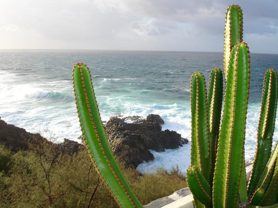 Playa Paraiso Photo : 1 sur 2