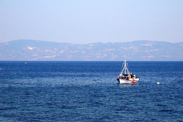 Photo de Anaxos