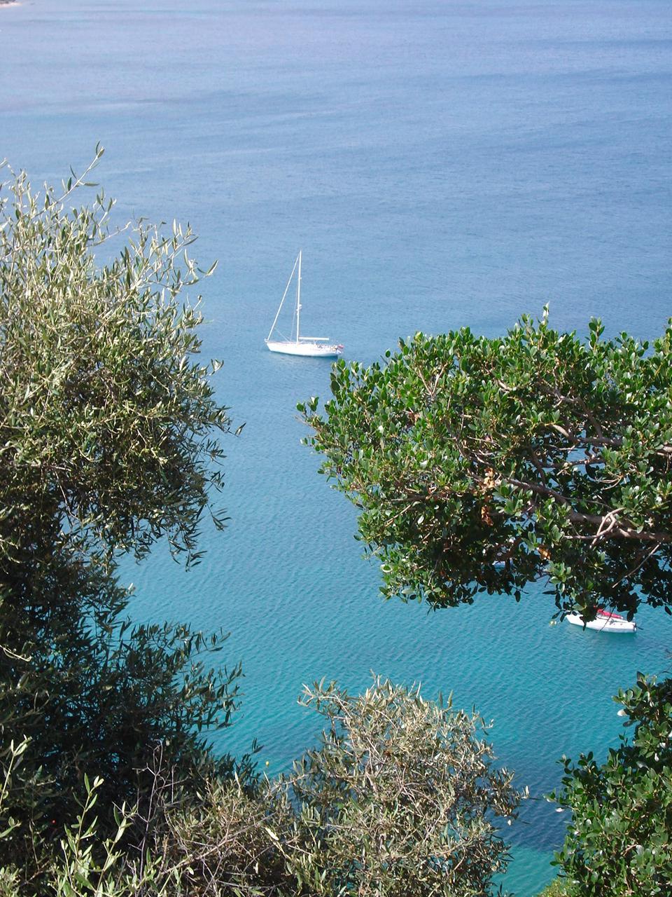 Kipséli Foto: 3 van 4