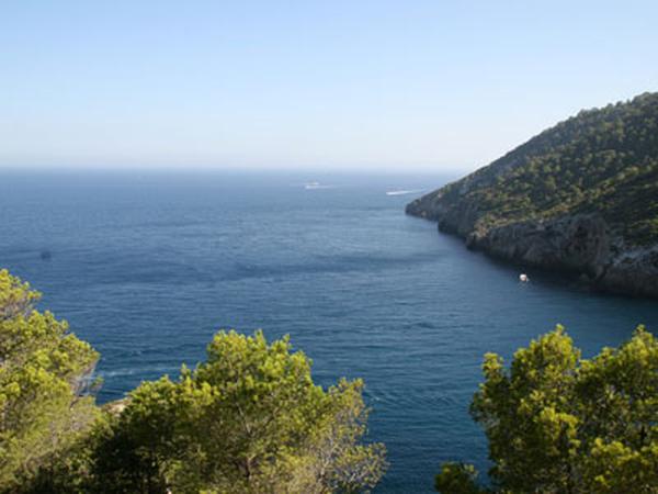 Foto van Cala Tarida
