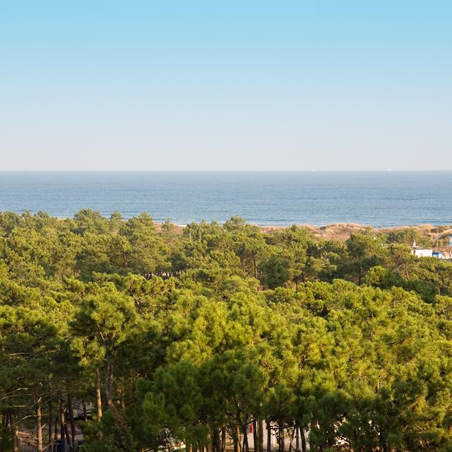 Monte Gordo Hotel, Apartamentos & SPA