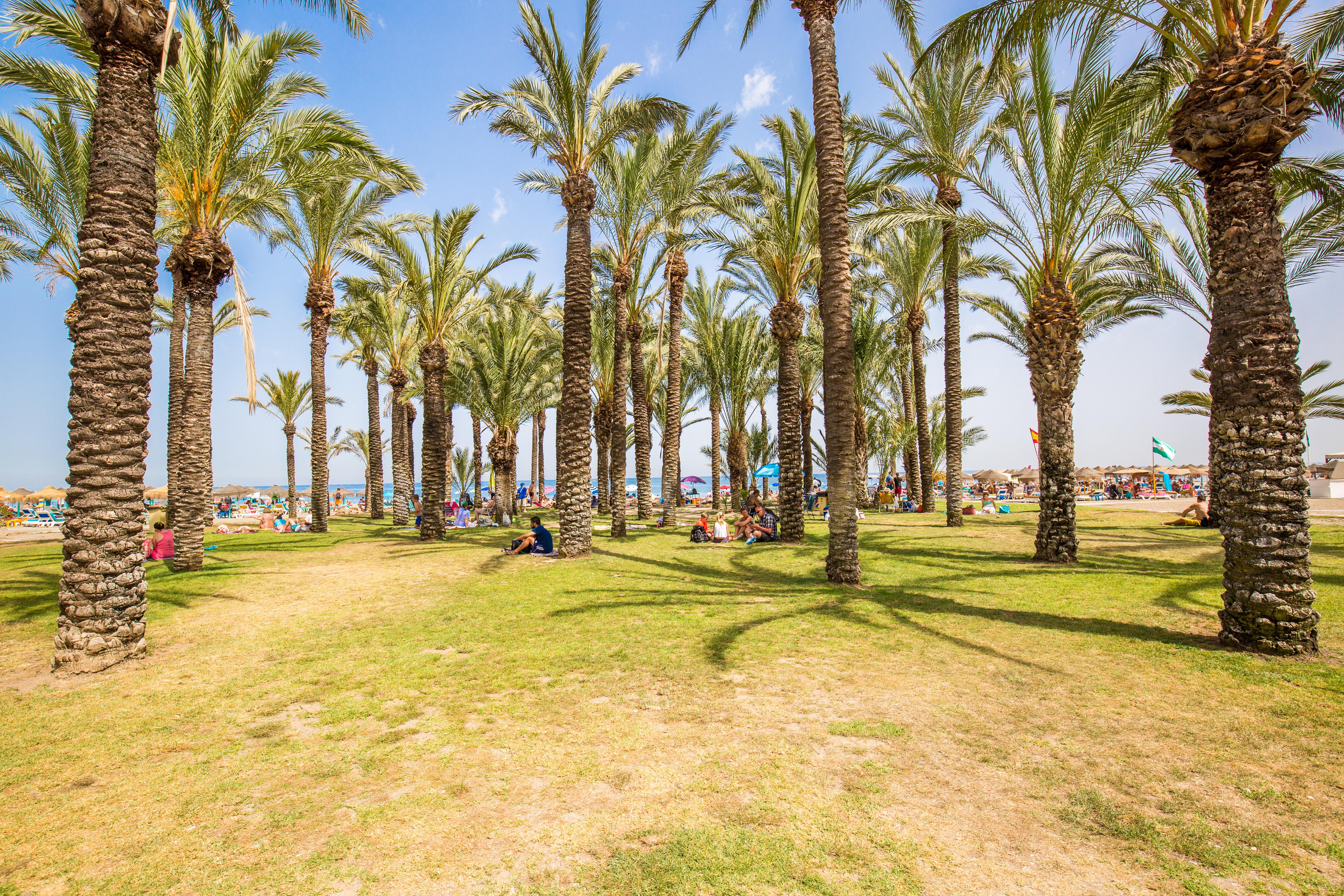 Torremolinos Photo : 11 sur 25