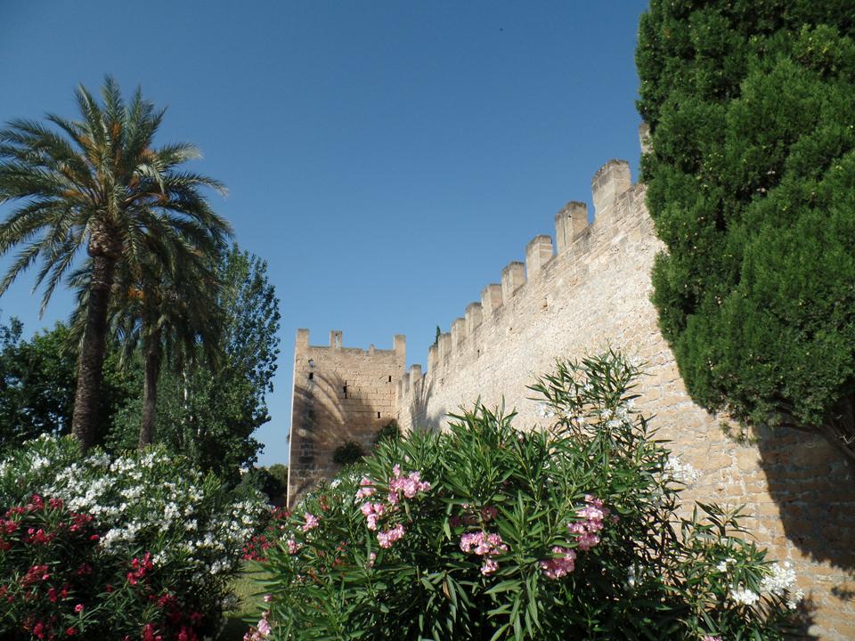 Alcudia Foto: 9 van 10