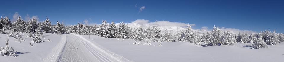 Pyrénées-Orientales Foto: 1 van 1