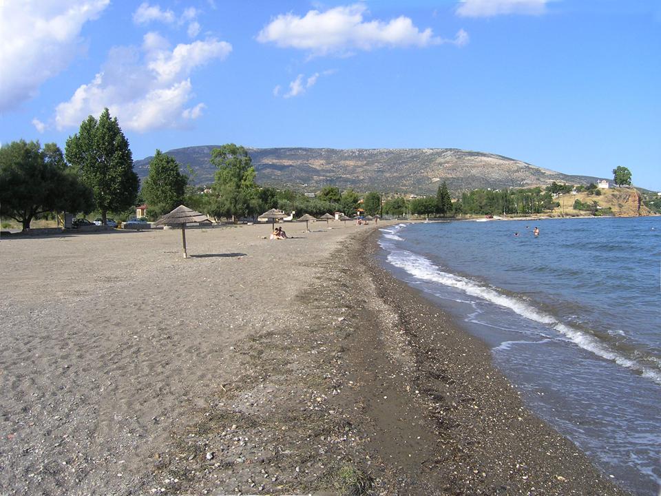 Amarynthos (Proche d'Erietra) Photo : 8 sur 15
