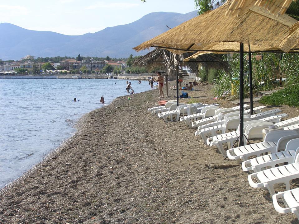 Amarynthos (omgeving Erietra) Foto: 6 van 16
