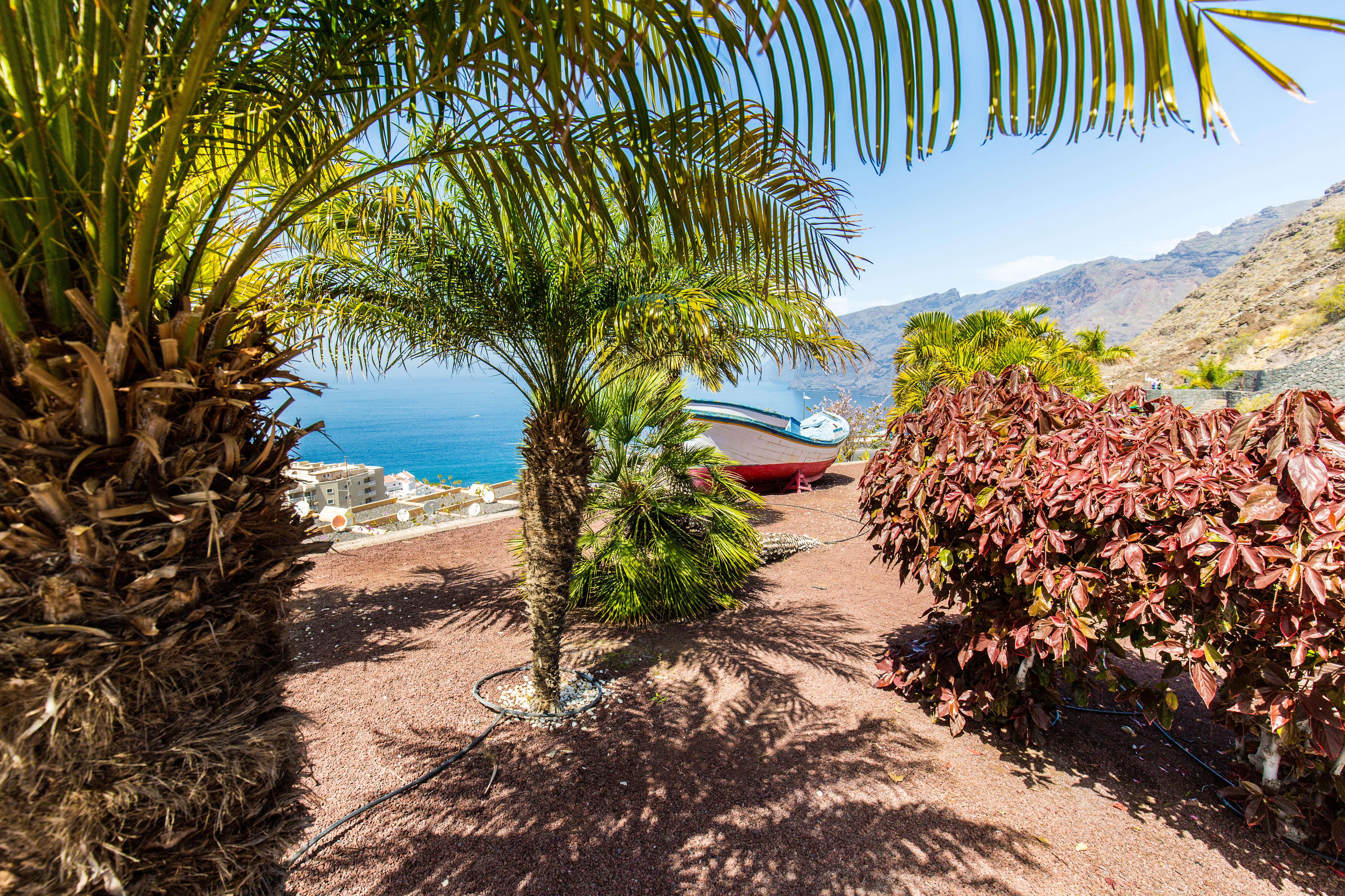 Tenerife Photo : 7 sur 35