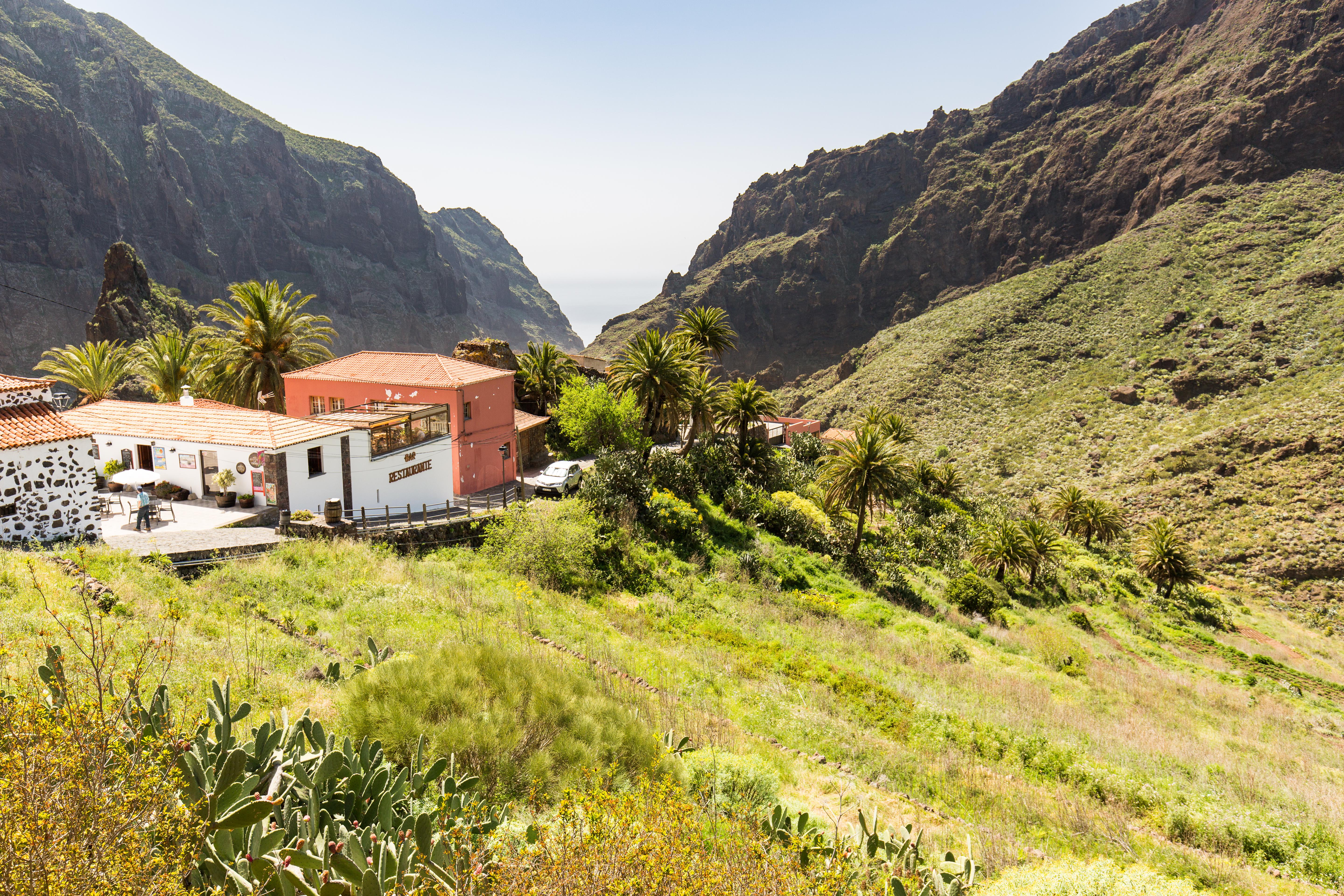 Tenerife Photo : 3 sur 35