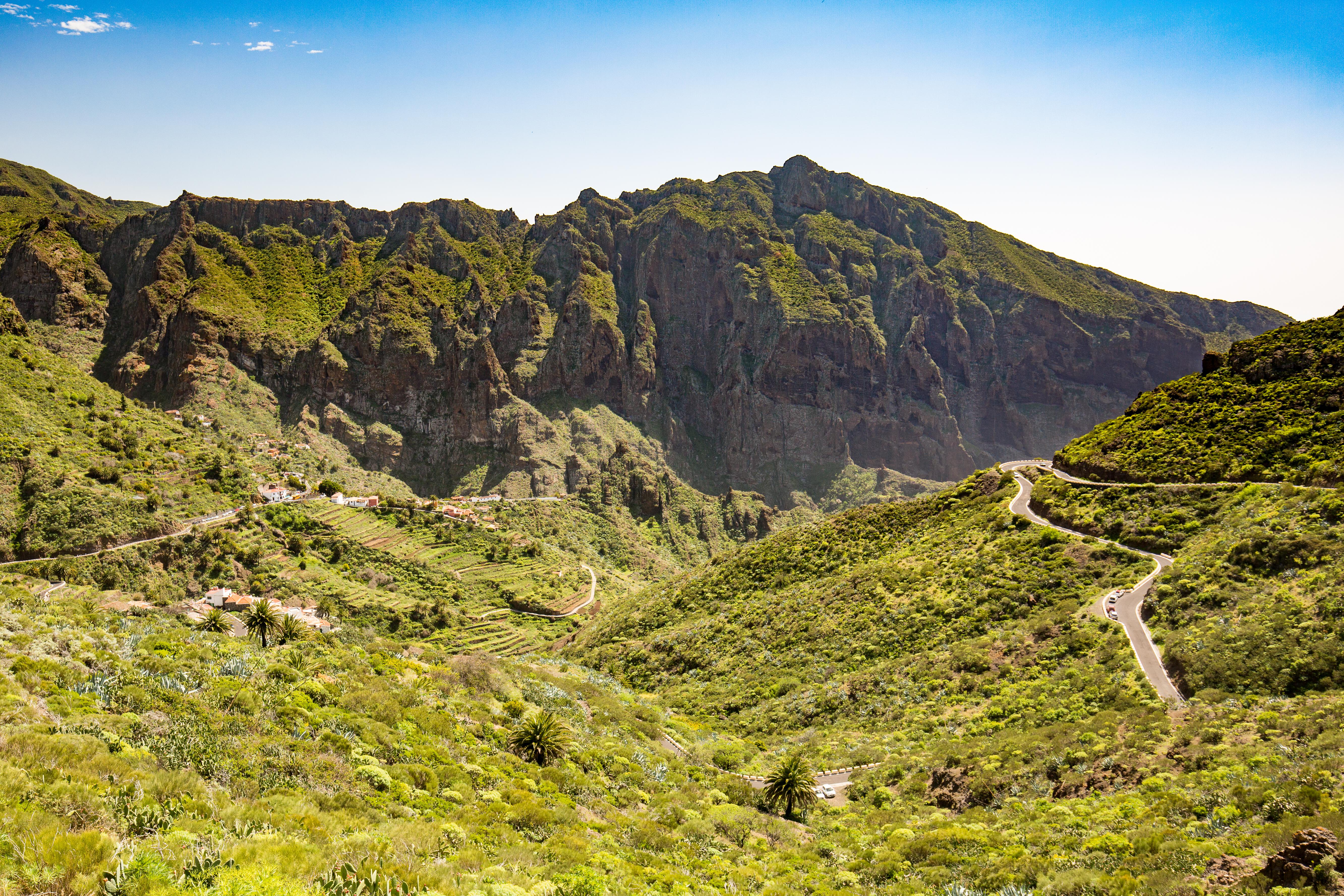 Tenerife Photo : 33 sur 35