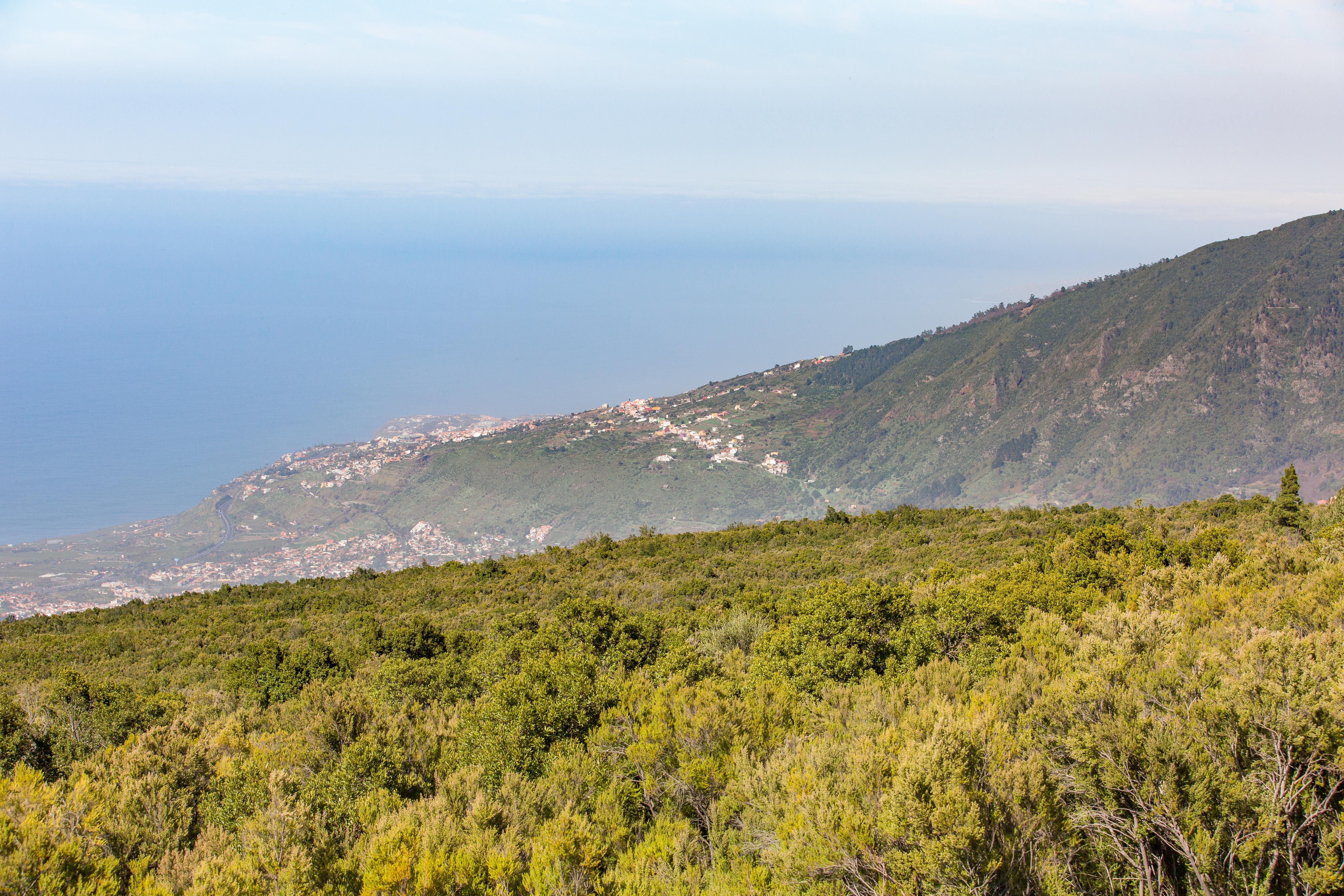 Tenerife Photo : 35 sur 35