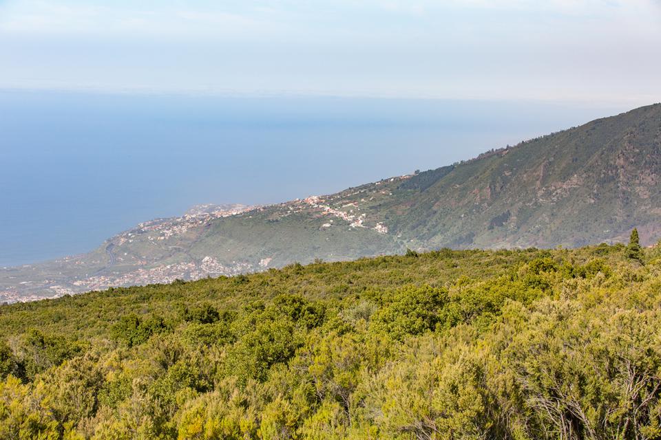Tenerife Foto: 35 van 35
