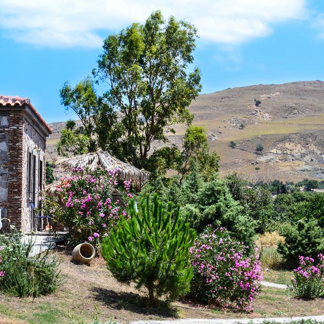 Villas Elpiniki
