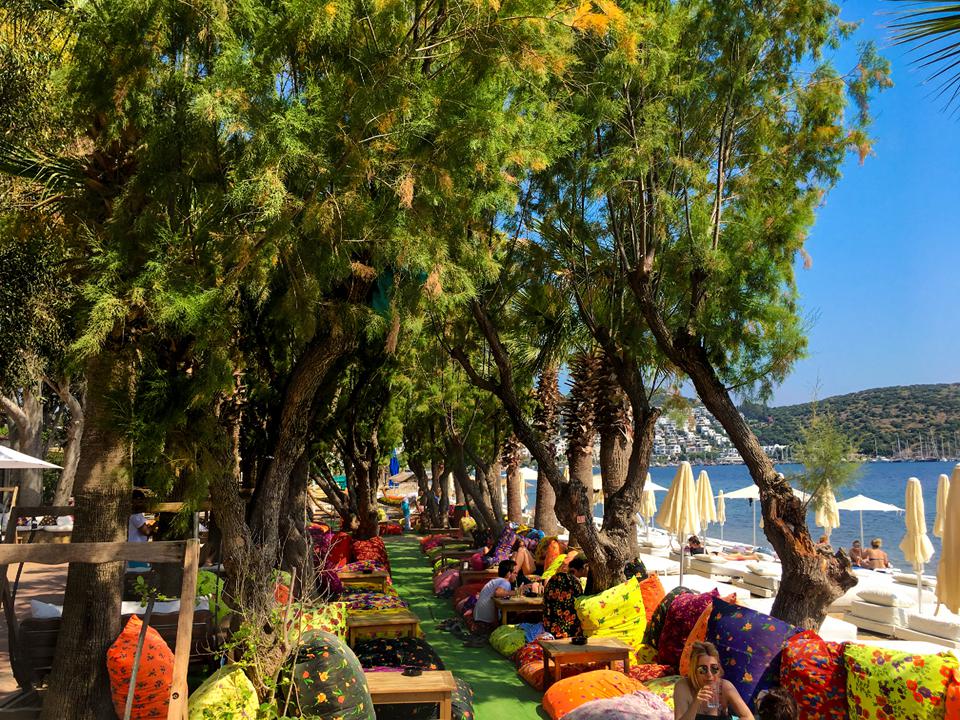 Bodrum-Bitez Photo : 11 sur 13