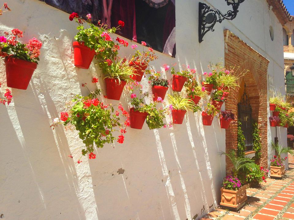 Marbella Foto: 1 van 6
