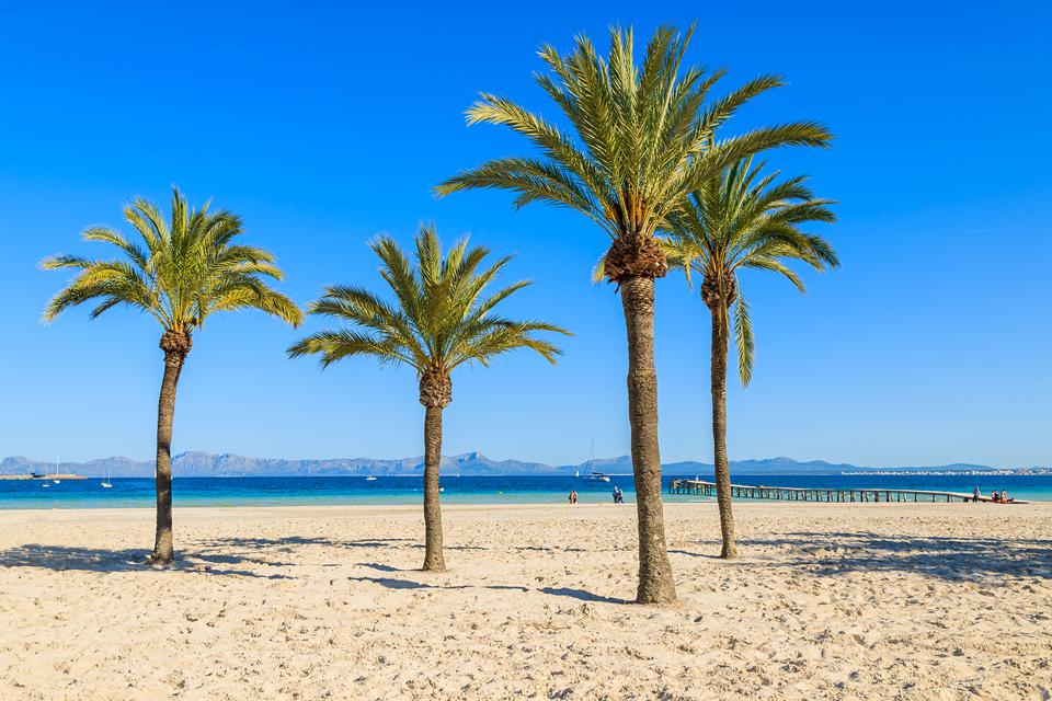 Alcudia Foto: 1 van 10