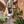 San Giuliano Terme