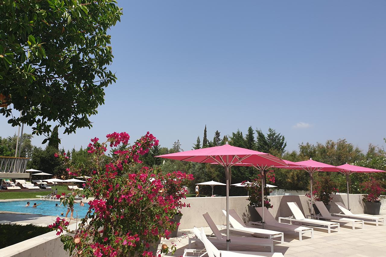 Ozadi Tavira, foto 2