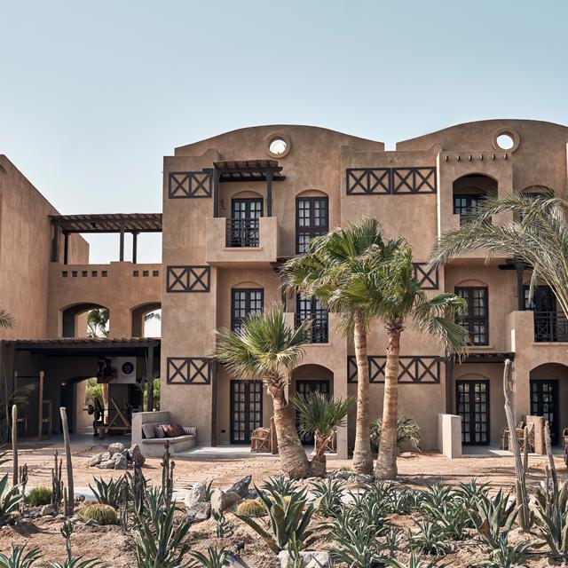 Cook's Club El Gouna - adults only