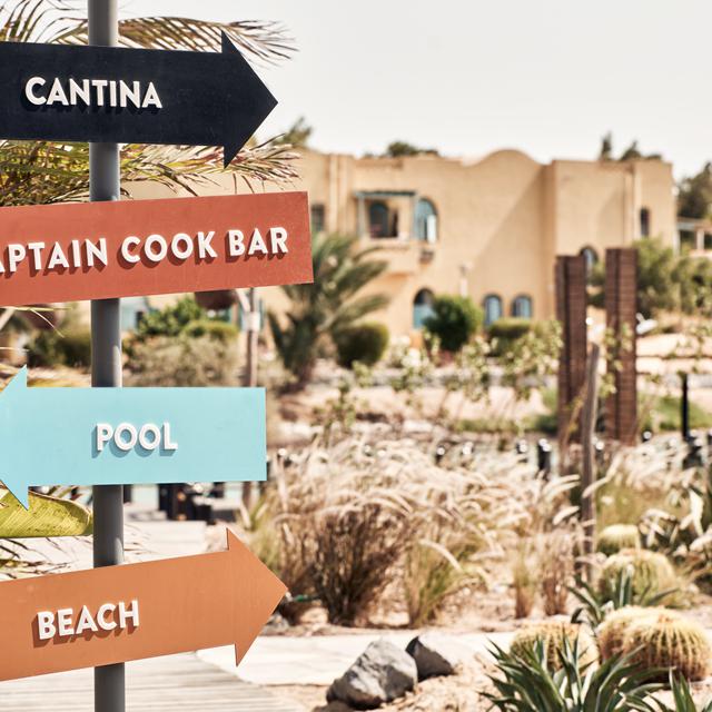 Cook's Club El Gouna - adults only