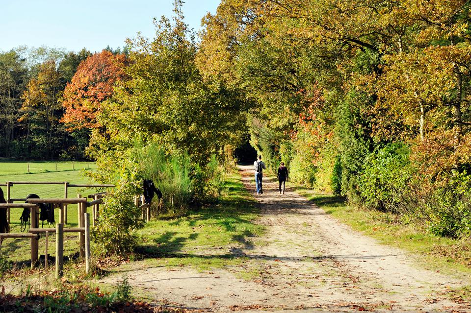 Noord-Brabant Foto: 1 van 1