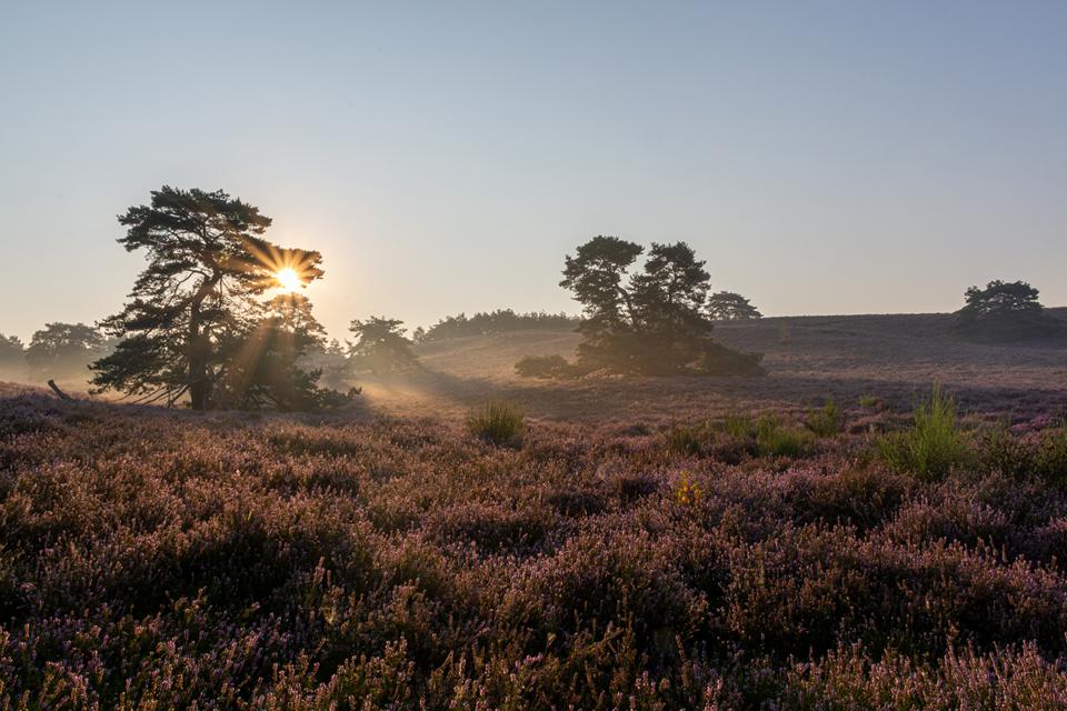Brunssum Foto: 1 van 1