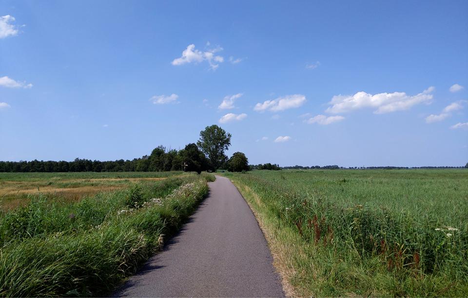 Paasloo Foto: 1 van 1