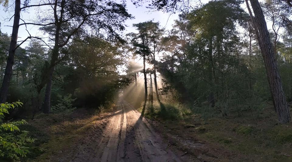 Hellendoorn Foto: 1 van 1