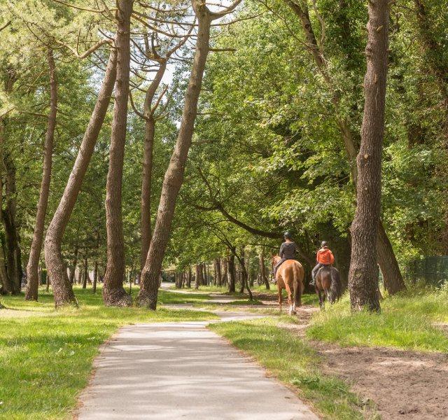 Résidence Les Jardins de la Côte d'Opale Pierre & Vacances