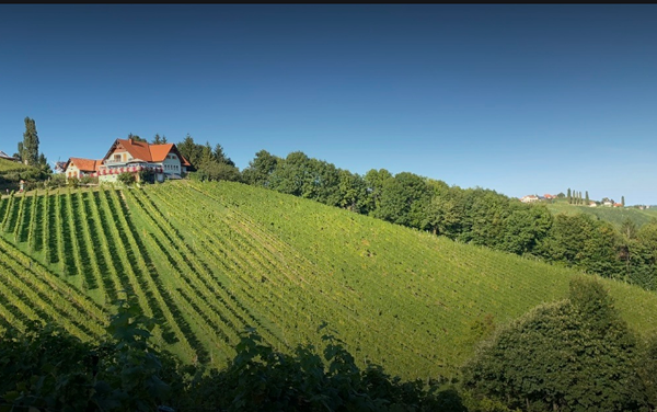 Foto van Leutschach an der Weinstrasse