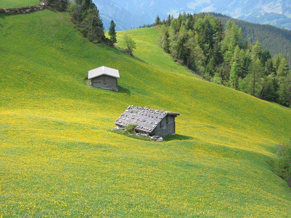 Hart im Zillertal Photo : 1 sur 1