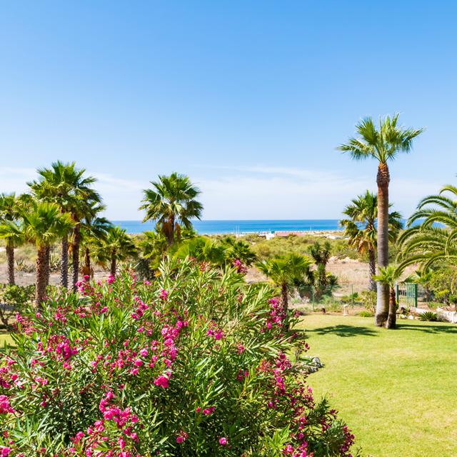 Appartementen Praia da Lota