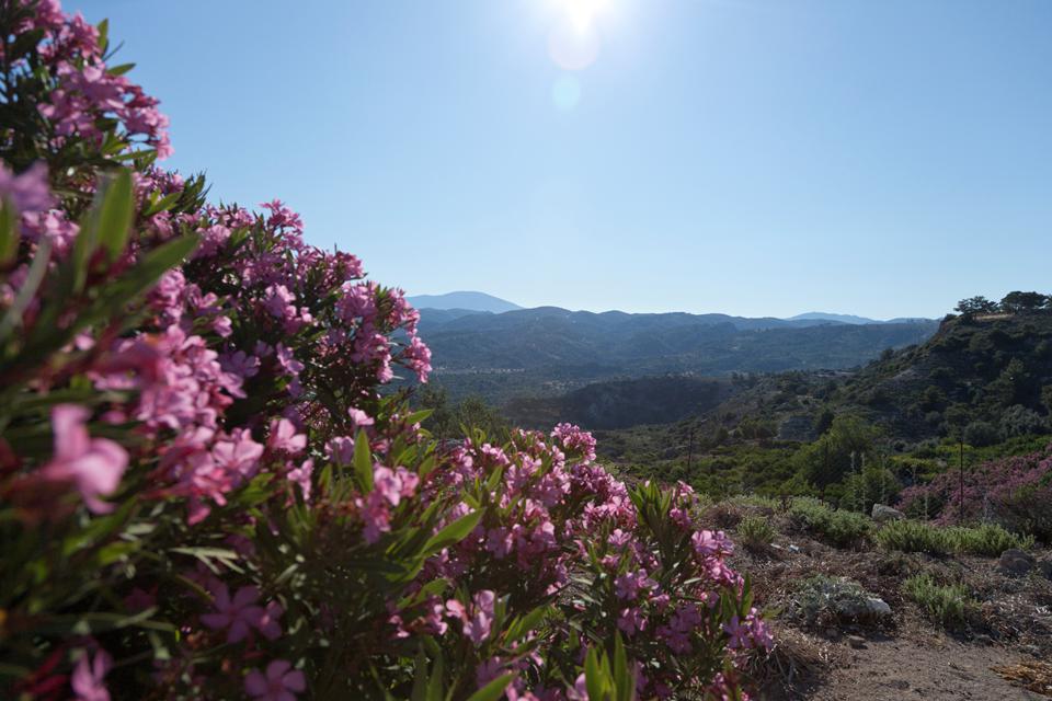 Rhodes Photo : 6 sur 11