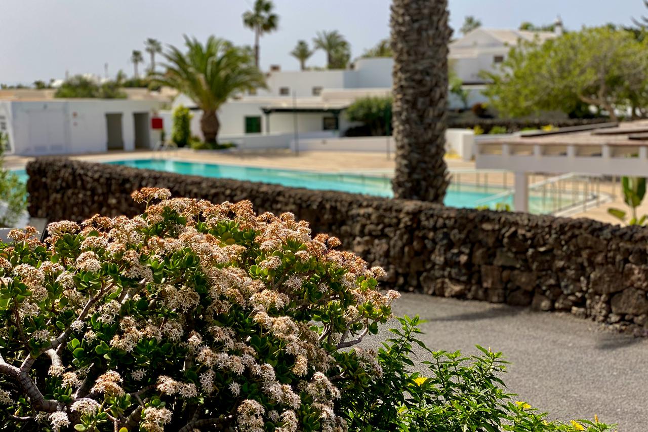Casas Heddy, foto 4