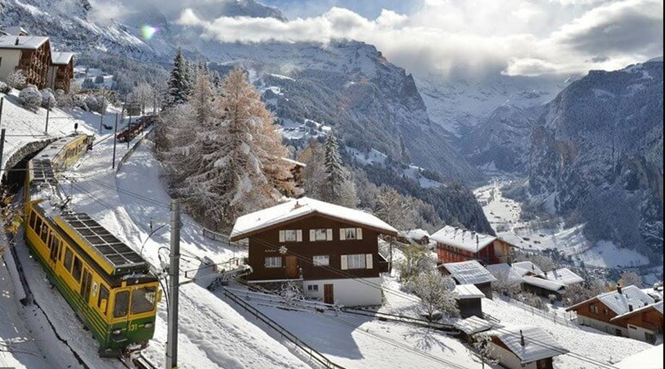 Wengen Foto: 1 van 3