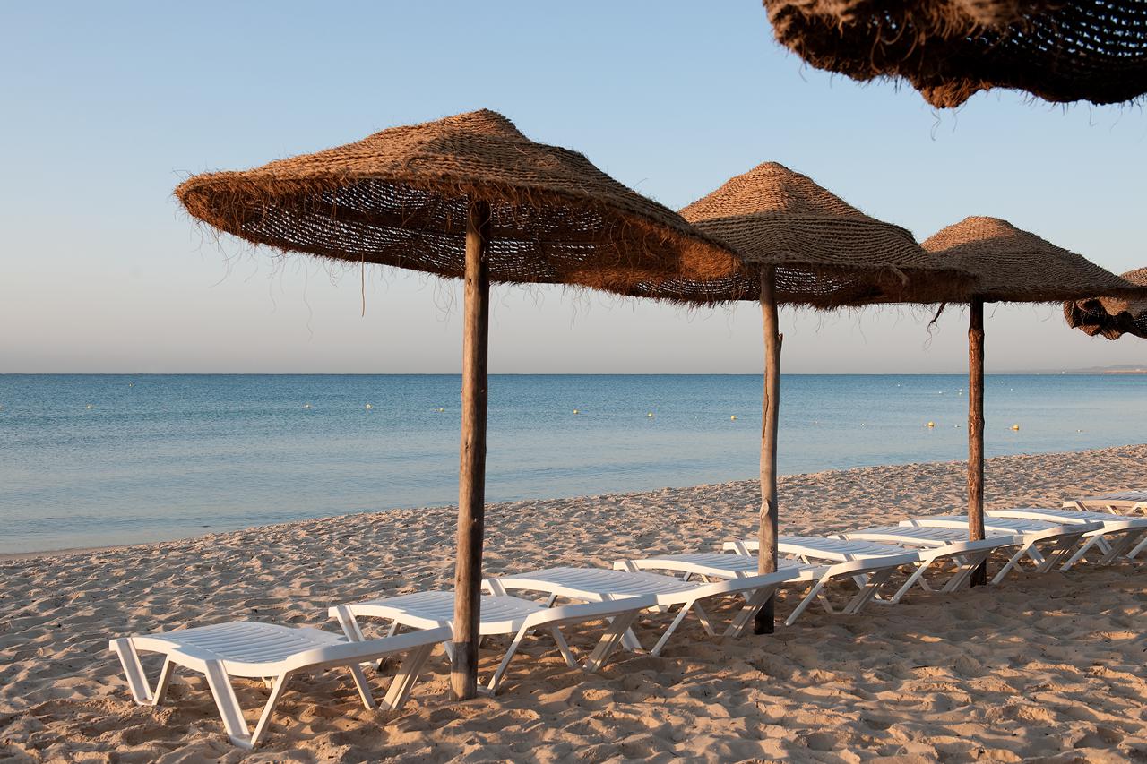 Sentido Phenicia, foto 8