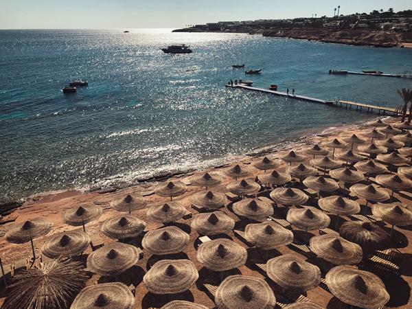 Photo de Sharks Bay