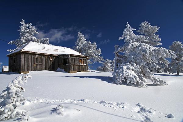 Foto van Trysil