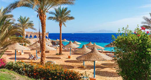 Egypte Foto: 2 van 6