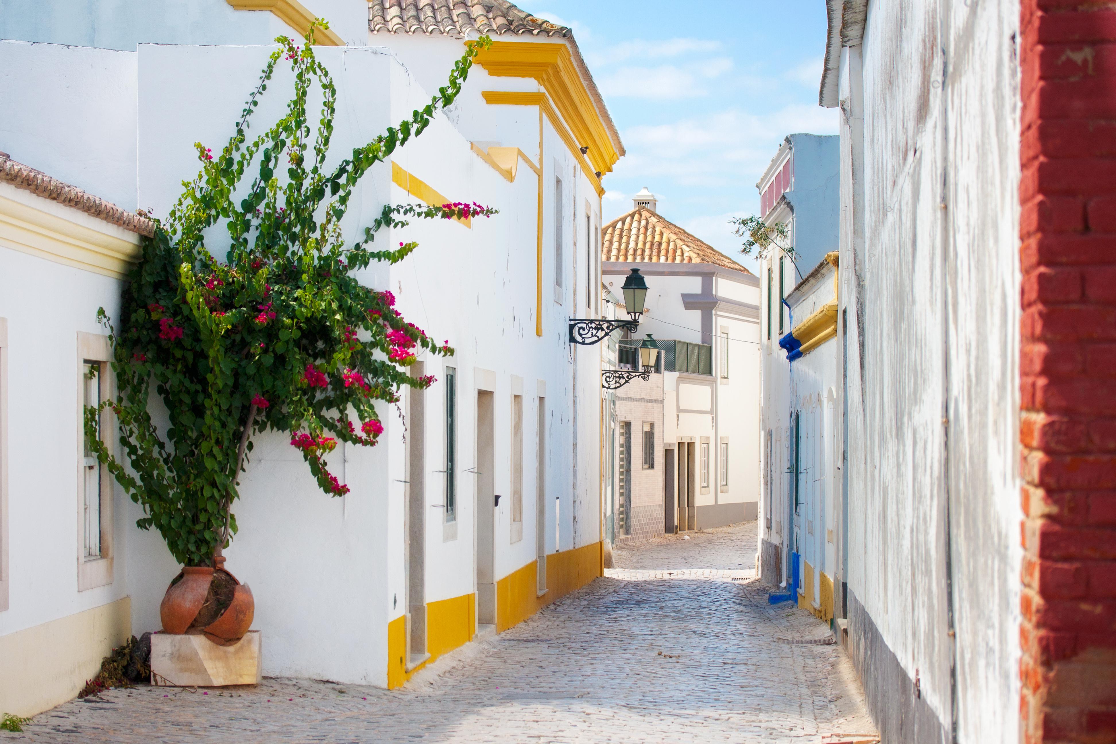 Faro Photo : 2 sur 3