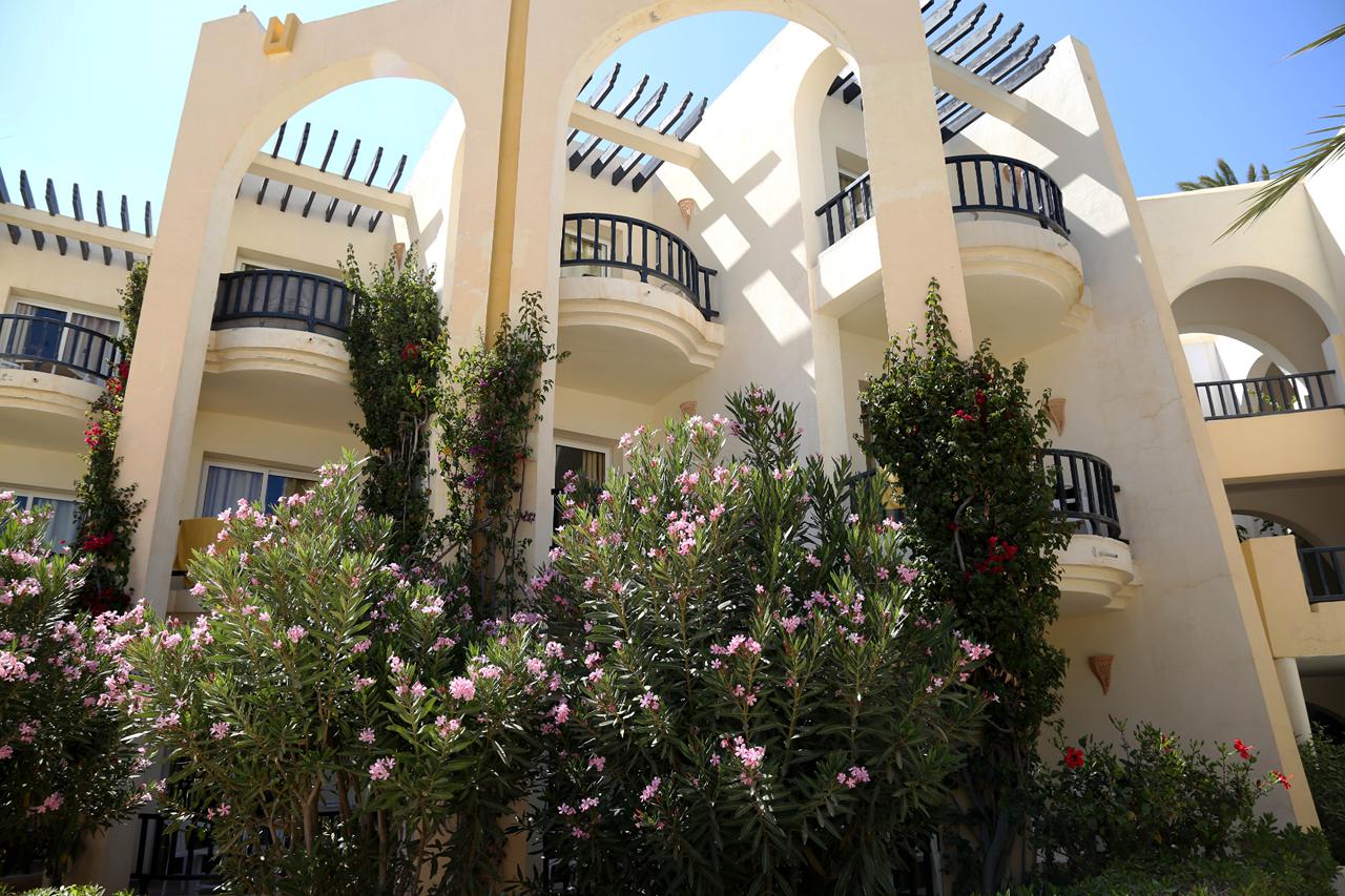 Eden Star, foto 11