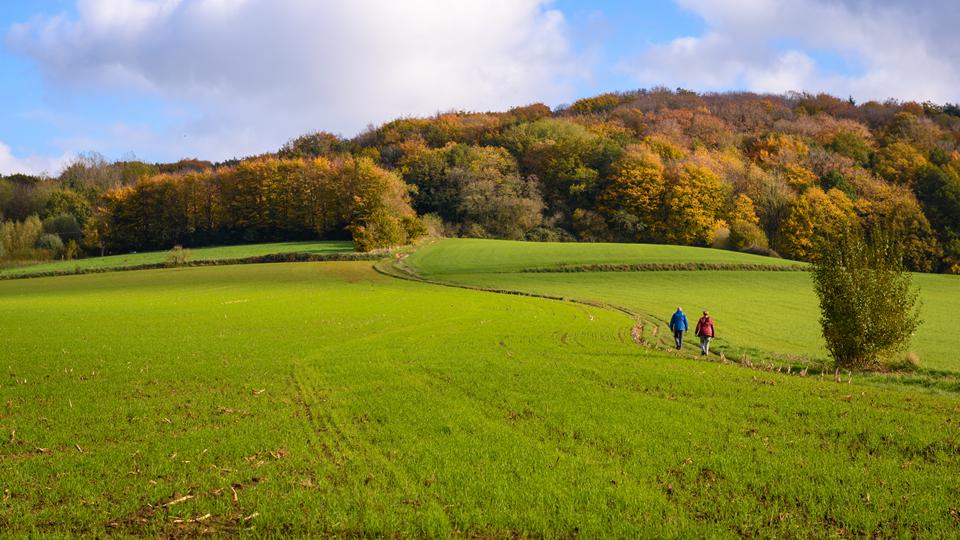 Neufchâteau Foto: 1 van 1