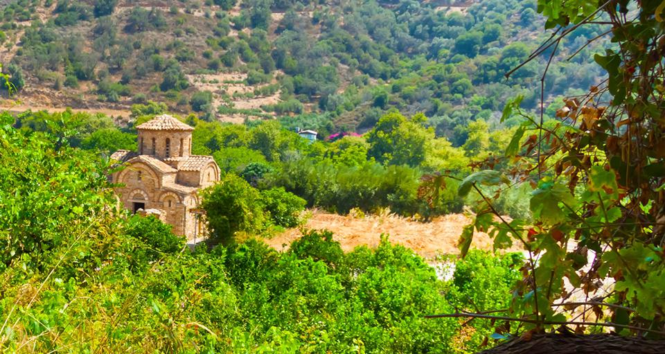 Fodele Foto: 1 van 4