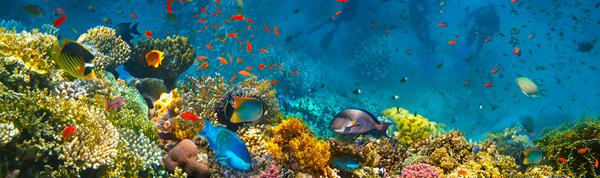 Foto van Marsa Alam