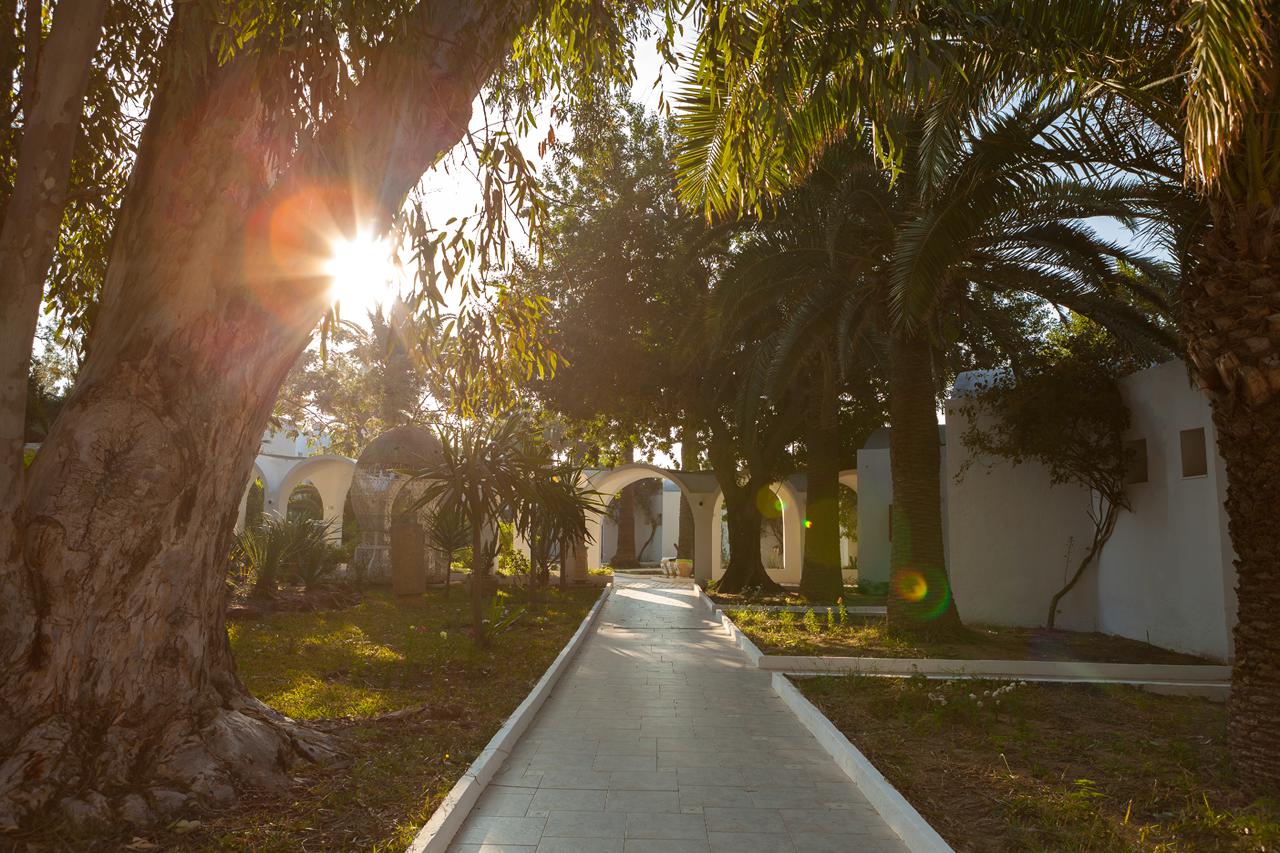 The Sindbad, foto 10