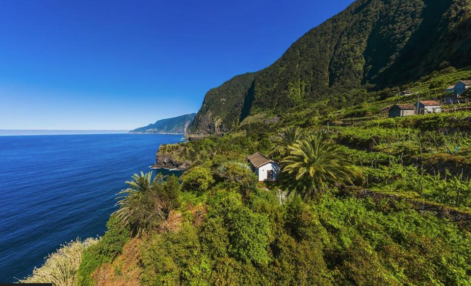 Madeira Foto: 2 van 5