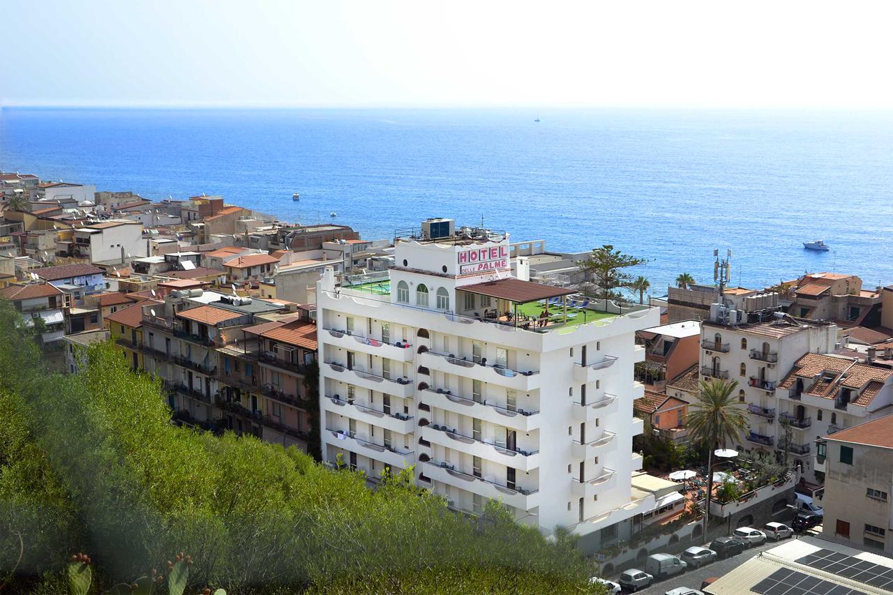 Delle Palme, foto 2