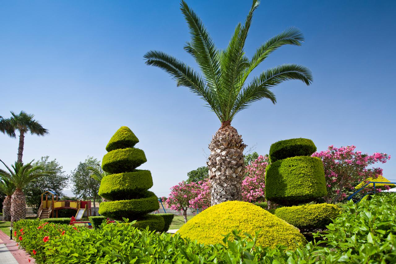 Aparthotel Corali, foto 12